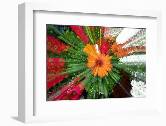 Flower explosion-Heidi Westum-Framed Photographic Print