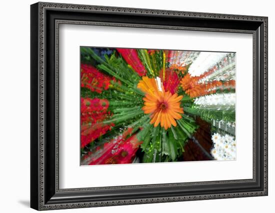 Flower explosion-Heidi Westum-Framed Photographic Print