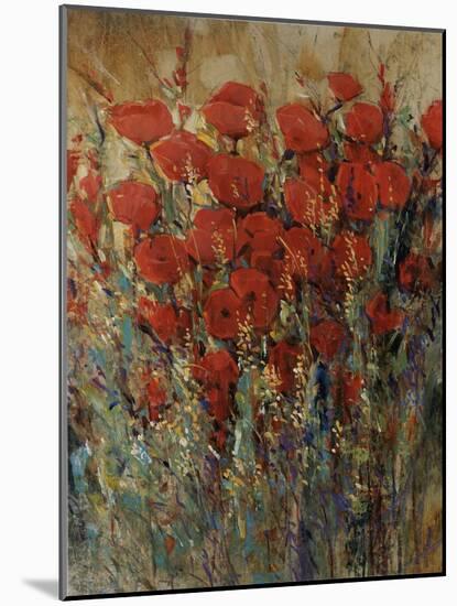 Flower Field II-Tim O'toole-Mounted Giclee Print