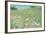 Flower Field Landscape-null-Framed Photographic Print