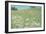 Flower Field Landscape-null-Framed Photographic Print