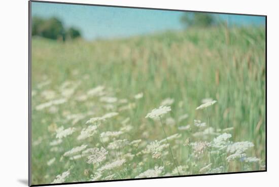 Flower Field Landscape-null-Mounted Photographic Print