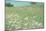 Flower Field Landscape-null-Mounted Photographic Print