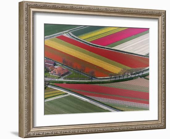 Flower field patterns surrounding Amsterdam, Holland-Adam Jones-Framed Photographic Print