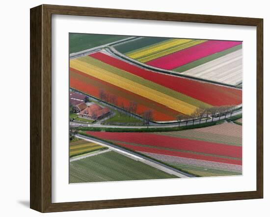 Flower field patterns surrounding Amsterdam, Holland-Adam Jones-Framed Photographic Print