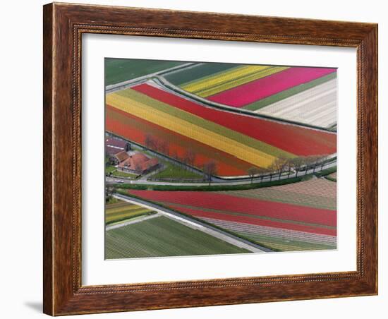 Flower field patterns surrounding Amsterdam, Holland-Adam Jones-Framed Photographic Print