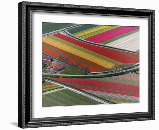 Flower field patterns surrounding Amsterdam, Holland-Adam Jones-Framed Photographic Print