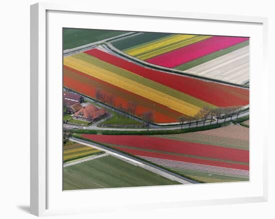 Flower field patterns surrounding Amsterdam, Holland-Adam Jones-Framed Photographic Print