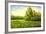 Flower Field With Trees And Bushes-balaikin2009-Framed Art Print