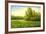 Flower Field With Trees And Bushes-balaikin2009-Framed Art Print