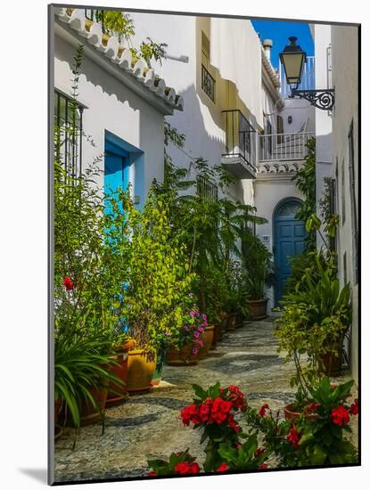 Flower Filled Alley in Frigiliana, Malaga Province, Andalucia, Spain-Panoramic Images-Mounted Photographic Print