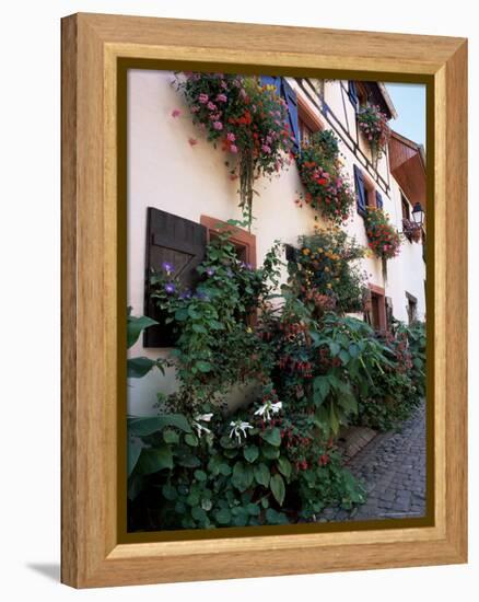 Flower-Filled Village Street, Eguisheim, Haut-Rhin, Alsace, France-Ruth Tomlinson-Framed Premier Image Canvas