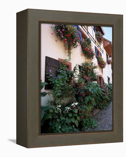 Flower-Filled Village Street, Eguisheim, Haut-Rhin, Alsace, France-Ruth Tomlinson-Framed Premier Image Canvas