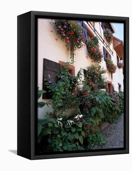 Flower-Filled Village Street, Eguisheim, Haut-Rhin, Alsace, France-Ruth Tomlinson-Framed Premier Image Canvas