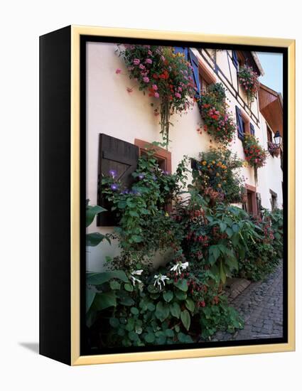 Flower-Filled Village Street, Eguisheim, Haut-Rhin, Alsace, France-Ruth Tomlinson-Framed Premier Image Canvas