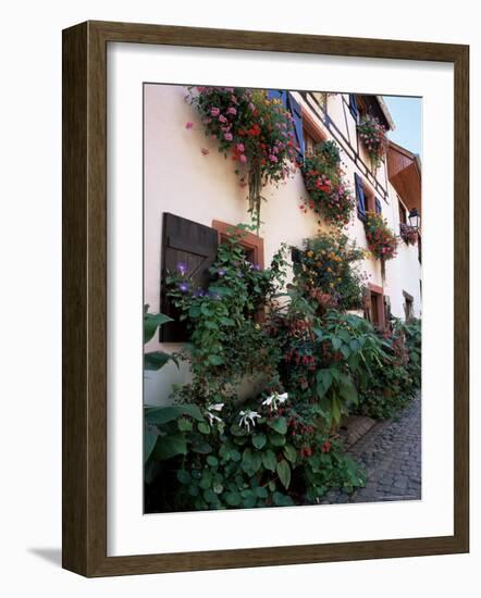 Flower-Filled Village Street, Eguisheim, Haut-Rhin, Alsace, France-Ruth Tomlinson-Framed Photographic Print