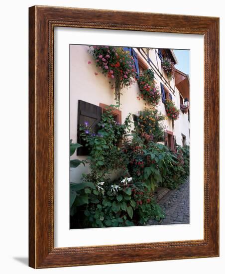 Flower-Filled Village Street, Eguisheim, Haut-Rhin, Alsace, France-Ruth Tomlinson-Framed Photographic Print