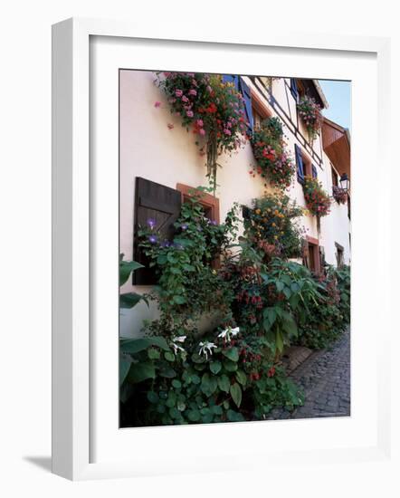 Flower-Filled Village Street, Eguisheim, Haut-Rhin, Alsace, France-Ruth Tomlinson-Framed Photographic Print