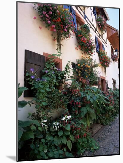 Flower-Filled Village Street, Eguisheim, Haut-Rhin, Alsace, France-Ruth Tomlinson-Mounted Photographic Print