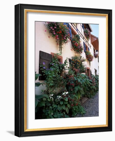 Flower-Filled Village Street, Eguisheim, Haut-Rhin, Alsace, France-Ruth Tomlinson-Framed Photographic Print