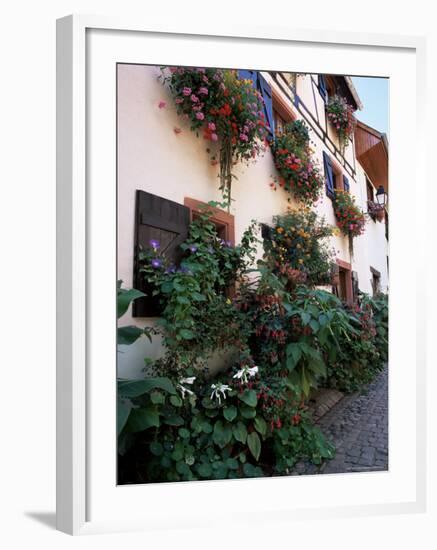 Flower-Filled Village Street, Eguisheim, Haut-Rhin, Alsace, France-Ruth Tomlinson-Framed Photographic Print