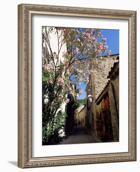 Flower Filled Village Street, St. Guilhem-Le-Desert, Herault, Languedoc-Roussillon, France, Europe-Ruth Tomlinson-Framed Photographic Print