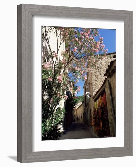 Flower Filled Village Street, St. Guilhem-Le-Desert, Herault, Languedoc-Roussillon, France, Europe-Ruth Tomlinson-Framed Photographic Print