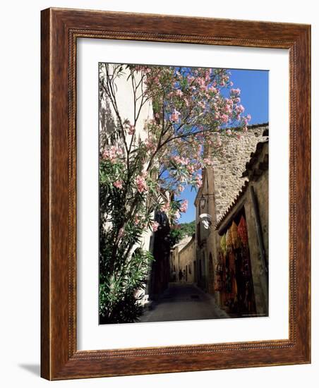 Flower Filled Village Street, St. Guilhem-Le-Desert, Herault, Languedoc-Roussillon, France, Europe-Ruth Tomlinson-Framed Photographic Print