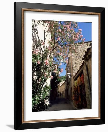 Flower Filled Village Street, St. Guilhem-Le-Desert, Herault, Languedoc-Roussillon, France, Europe-Ruth Tomlinson-Framed Photographic Print