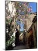Flower Filled Village Street, St. Guilhem-Le-Desert, Herault, Languedoc-Roussillon, France, Europe-Ruth Tomlinson-Mounted Photographic Print
