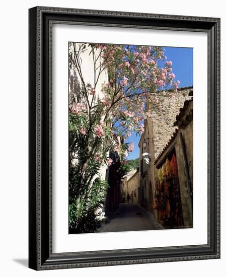 Flower Filled Village Street, St. Guilhem-Le-Desert, Herault, Languedoc-Roussillon, France, Europe-Ruth Tomlinson-Framed Photographic Print