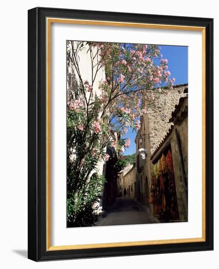 Flower Filled Village Street, St. Guilhem-Le-Desert, Herault, Languedoc-Roussillon, France, Europe-Ruth Tomlinson-Framed Photographic Print