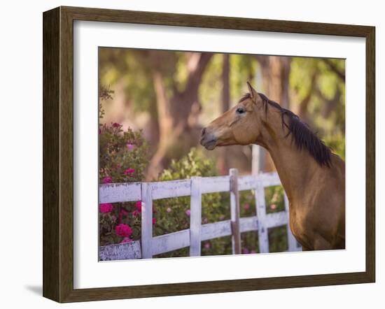 Flower Frolick I-Ozana Sturgeon-Framed Photographic Print