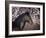 Flower Frolick II-Ozana Sturgeon-Framed Photographic Print