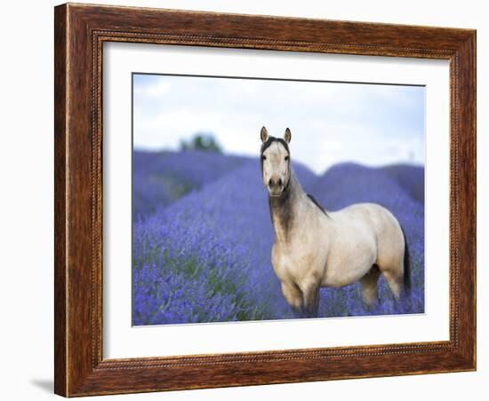 Flower Frolick III-Ozana Sturgeon-Framed Photographic Print