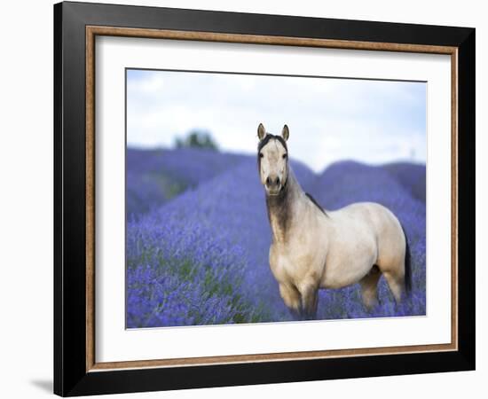 Flower Frolick III-Ozana Sturgeon-Framed Photographic Print