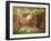 Flower Frolick IV-Ozana Sturgeon-Framed Photographic Print