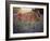 Flower Frolick VI-Ozana Sturgeon-Framed Photographic Print