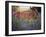 Flower Frolick VI-Ozana Sturgeon-Framed Photographic Print