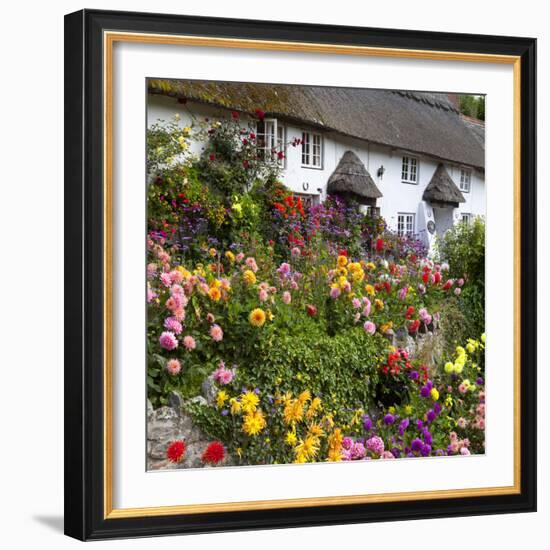 Flower Fronted Thatched Cottage, Devon, England, United Kingdom, Europe-Stuart Black-Framed Photographic Print