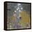 Flower Garden, 1905-07-Gustav Klimt-Framed Premier Image Canvas