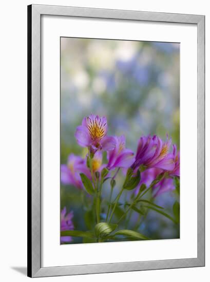 Flower Garden at Governor's House Victoria, Victoria, British Columbia, Canada-Terry Eggers-Framed Photographic Print