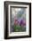 Flower Garden at Governor's House Victoria, Victoria, British Columbia, Canada-Terry Eggers-Framed Photographic Print