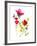 Flower Garden II-Sandra Jacobs-Framed Giclee Print