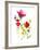 Flower Garden II-Sandra Jacobs-Framed Giclee Print