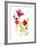 Flower Garden II-Sandra Jacobs-Framed Giclee Print