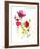 Flower Garden II-Sandra Jacobs-Framed Giclee Print