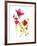 Flower Garden II-Sandra Jacobs-Framed Giclee Print