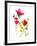 Flower Garden II-Sandra Jacobs-Framed Giclee Print