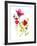 Flower Garden II-Sandra Jacobs-Framed Giclee Print